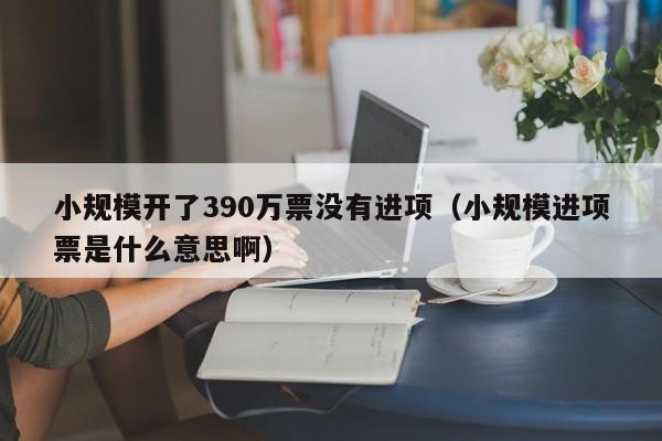 小规模开了390万票没有进项（小规模进项票是什么意思啊）