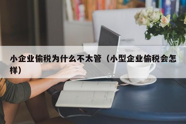 小企业偷税为什么不太管（小型企业偷税会怎样）