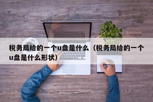 税务局给的一个u盘是什么（税务局给的一个u盘是什么形状）