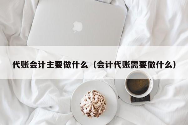 代账会计主要做什么（会计代账需要做什么）