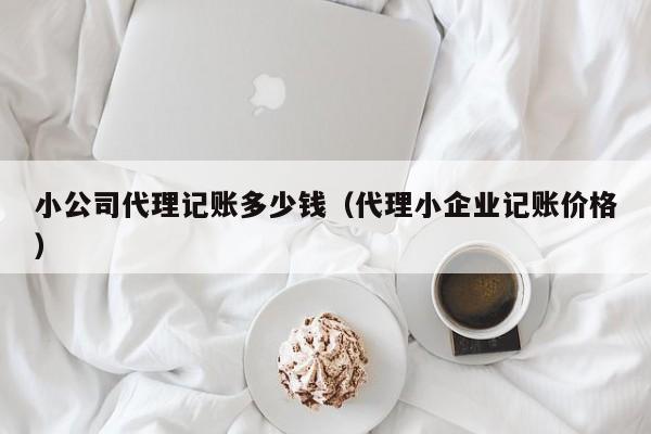 小公司代理记账多少钱（代理小企业记账价格）