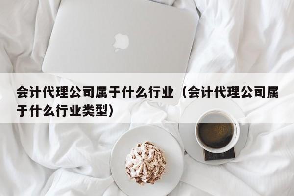 会计代理公司属于什么行业（会计代理公司属于什么行业类型）