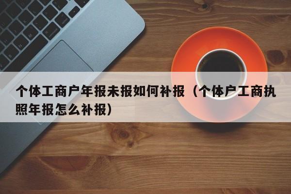 个体工商户年报未报如何补报（个体户工商执照年报怎么补报）