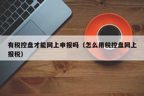 有税控盘才能网上申报吗（怎么用税控盘网上报税）