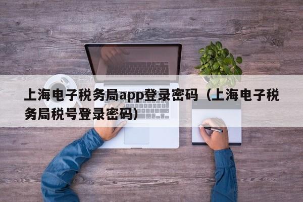 上海电子税务局app登录密码（上海电子税务局税号登录密码）