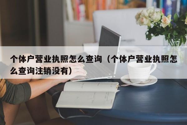 个体户营业执照怎么查询（个体户营业执照怎么查询注销没有）