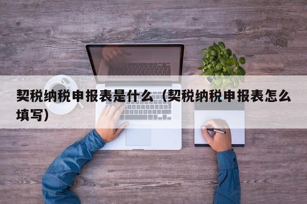 契税纳税申报表是什么（契税纳税申报表怎么填写）