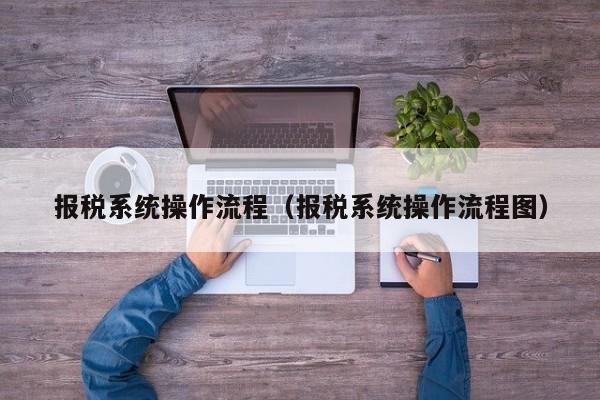 报税系统操作流程（报税系统操作流程图）