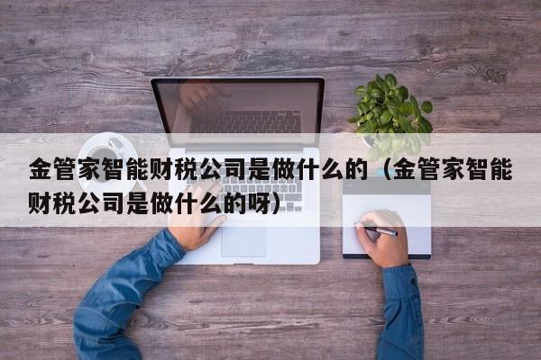 金管家智能财税公司是做什么的（金管家智能财税公司是做什么的呀）