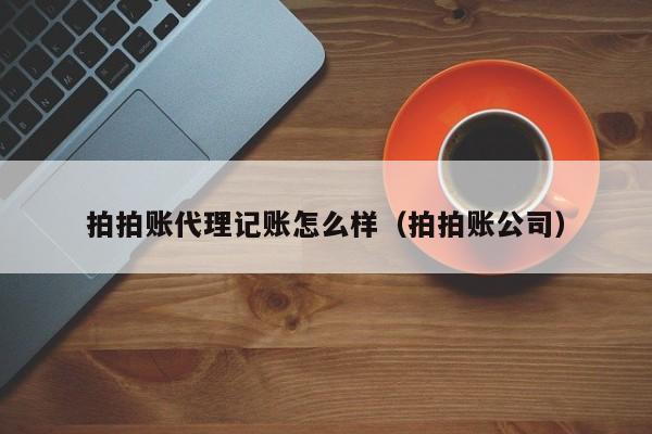 拍拍账代理记账怎么样（拍拍账公司）