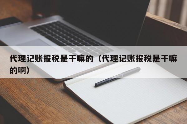 代理记账报税是干嘛的（代理记账报税是干嘛的啊）