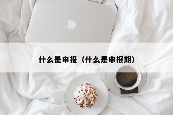 什么是申报（什么是申报期）