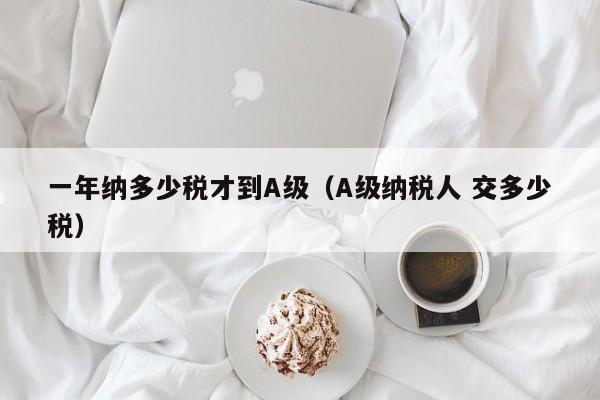 一年纳多少税才到A级（A级纳税人 交多少税）