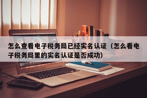 怎么查看电子税务局已经实名认证（怎么看电子税务局里的实名认证是否成功）