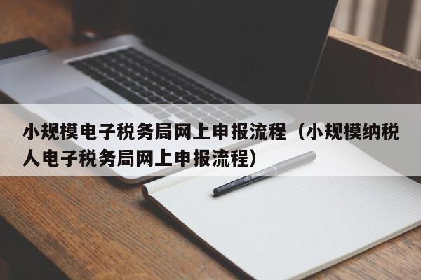 小规模电子税务局网上申报流程（小规模纳税人电子税务局网上申报流程）