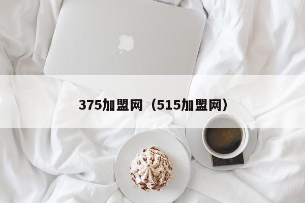 375加盟网（515加盟网）