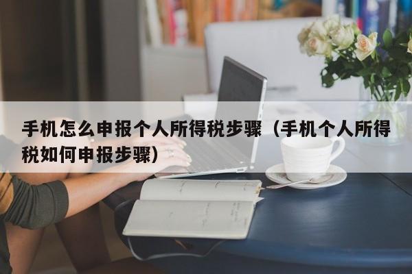 手机怎么申报个人所得税步骤（手机个人所得税如何申报步骤）