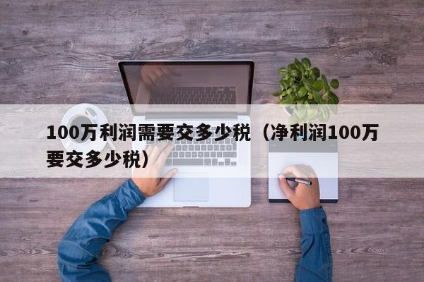 100万利润需要交多少税（净利润100万要交多少税）