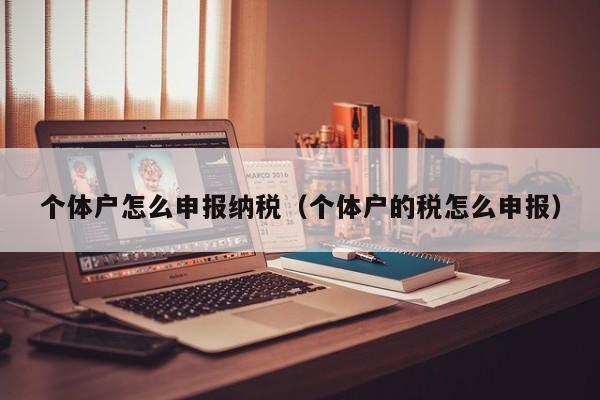 个体户怎么申报纳税（个体户的税怎么申报）