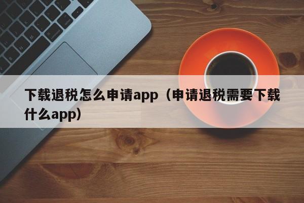 下载退税怎么申请app（申请退税需要下载什么app）