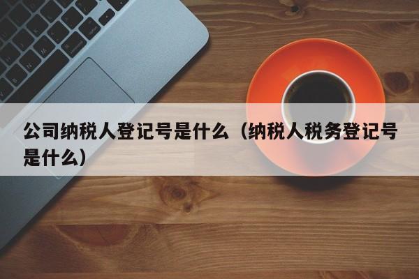 公司纳税人登记号是什么（纳税人税务登记号是什么）