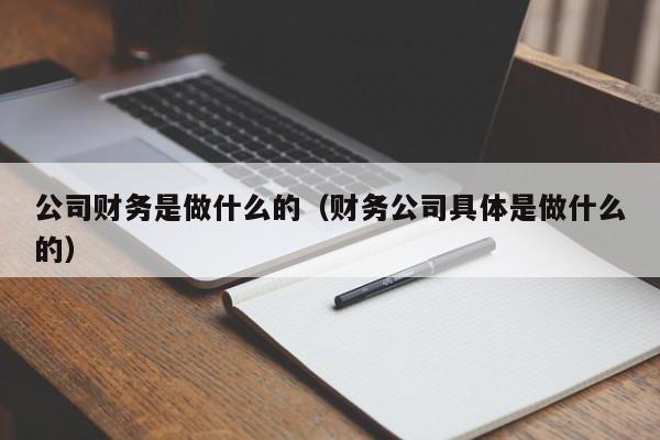 公司财务是做什么的（财务公司具体是做什么的）