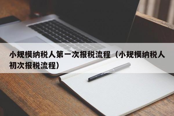 小规模纳税人第一次报税流程（小规模纳税人初次报税流程）