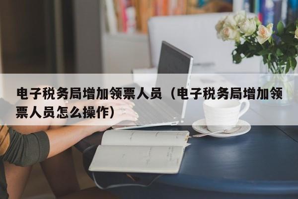 电子税务局增加领票人员（电子税务局增加领票人员怎么操作）