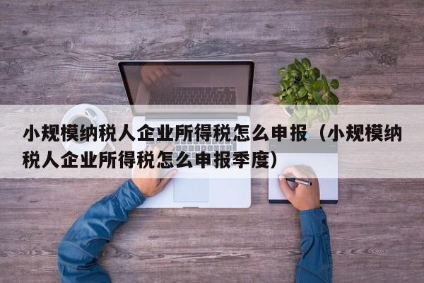 小规模纳税人企业所得税怎么申报（小规模纳税人企业所得税怎么申报季度）