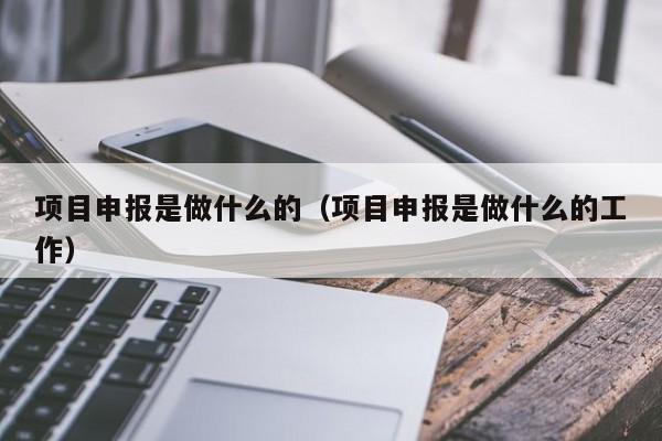 项目申报是做什么的（项目申报是做什么的工作）