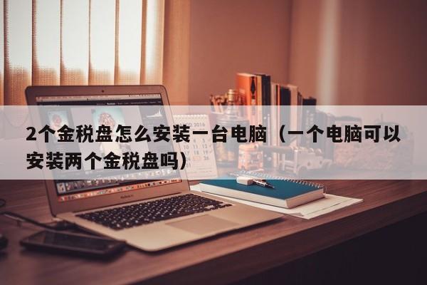 2个金税盘怎么安装一台电脑（一个电脑可以安装两个金税盘吗）