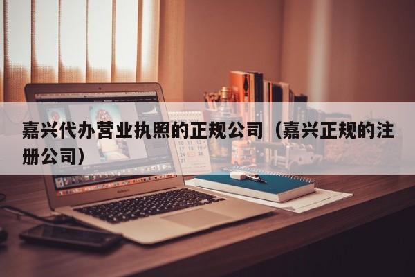 嘉兴代办营业执照的正规公司（嘉兴正规的注册公司）