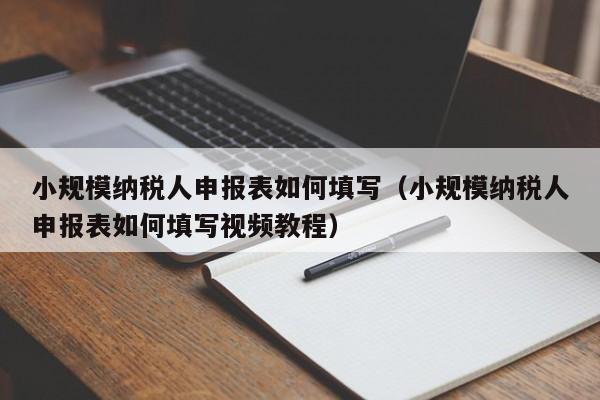 小规模纳税人申报表如何填写（小规模纳税人申报表如何填写视频教程）