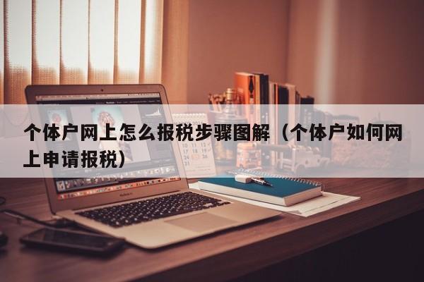 个体户网上怎么报税步骤图解（个体户如何网上申请报税）