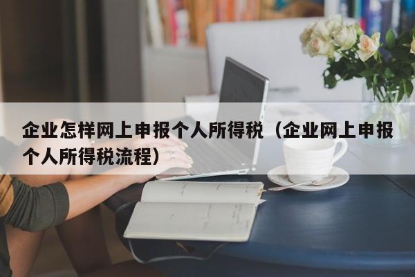 企业怎样网上申报个人所得税（企业网上申报个人所得税流程）