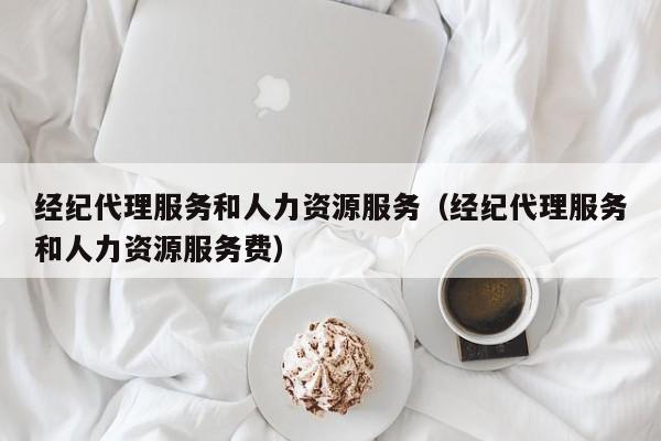 经纪代理服务和人力资源服务（经纪代理服务和人力资源服务费）