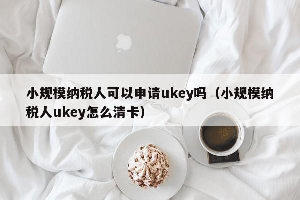 小规模纳税人可以申请ukey吗（小规模纳税人ukey怎么清卡）