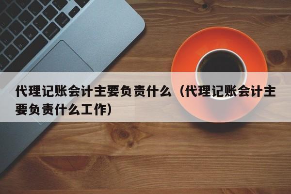 代理记账会计主要负责什么（代理记账会计主要负责什么工作）