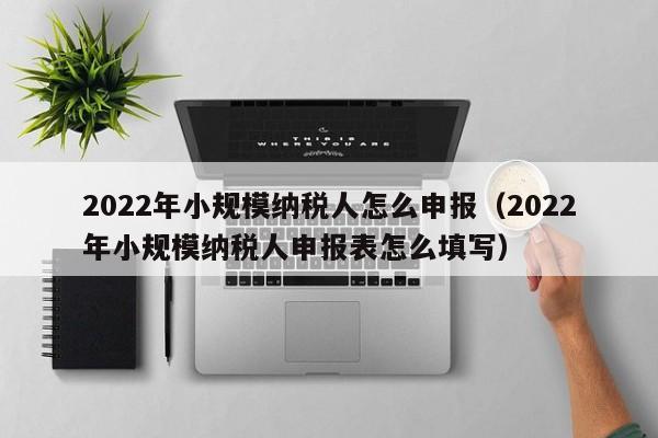 2022年小规模纳税人怎么申报（2022年小规模纳税人申报表怎么填写）