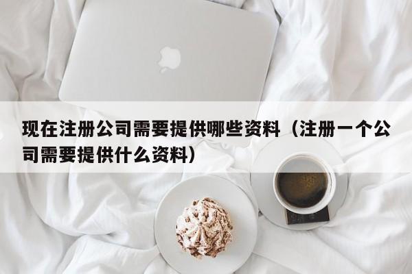 现在注册公司需要提供哪些资料（注册一个公司需要提供什么资料）