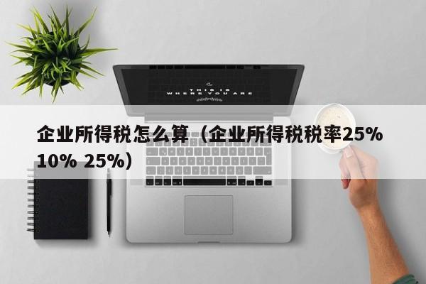 企业所得税怎么算（企业所得税税率25% 10% 25%）