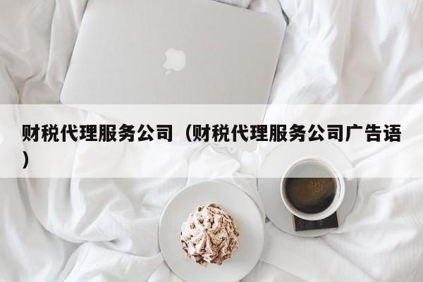 财税代理服务公司（财税代理服务公司广告语）