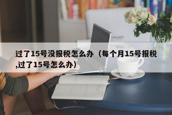 过了15号没报税怎么办（每个月15号报税,过了15号怎么办）