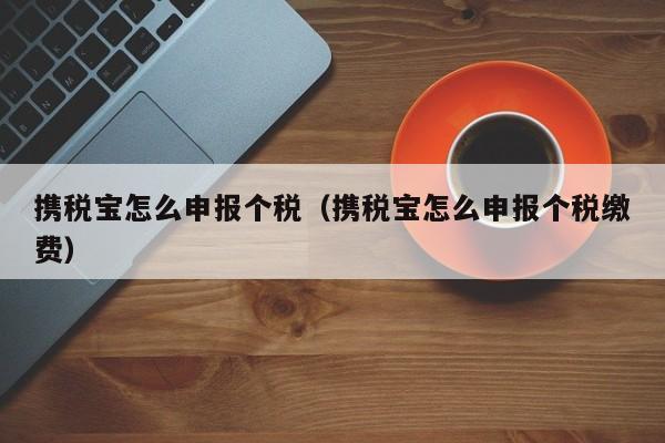 携税宝怎么申报个税（携税宝怎么申报个税缴费）