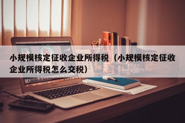 小规模核定征收企业所得税（小规模核定征收企业所得税怎么交税）