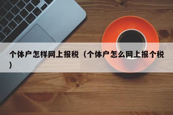 个体户怎样网上报税（个体户怎么网上报个税）