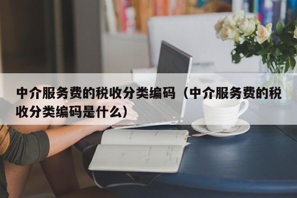 中介服务费的税收分类编码（中介服务费的税收分类编码是什么）