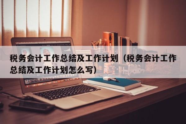 税务会计工作总结及工作计划（税务会计工作总结及工作计划怎么写）