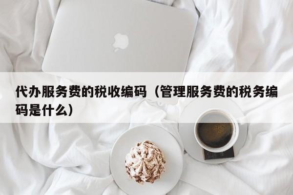 代办服务费的税收编码（管理服务费的税务编码是什么）