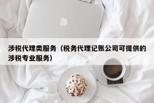 涉税代理类服务（税务代理记账公司可提供的涉税专业服务）